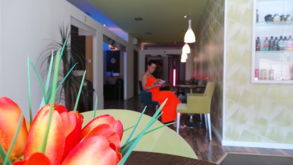Komárom Tulipan Panzio Bed & Breakfast エクステリア 写真